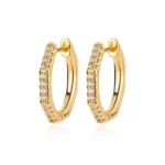 Salty earrings